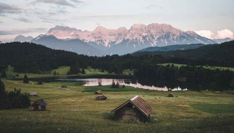 Foto: Mateusz Sałaciak/Pexels.com