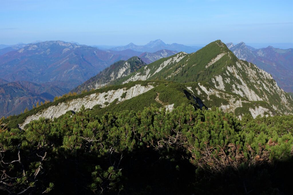 Nationalpark Kalkalpen. Foto Peter Backé