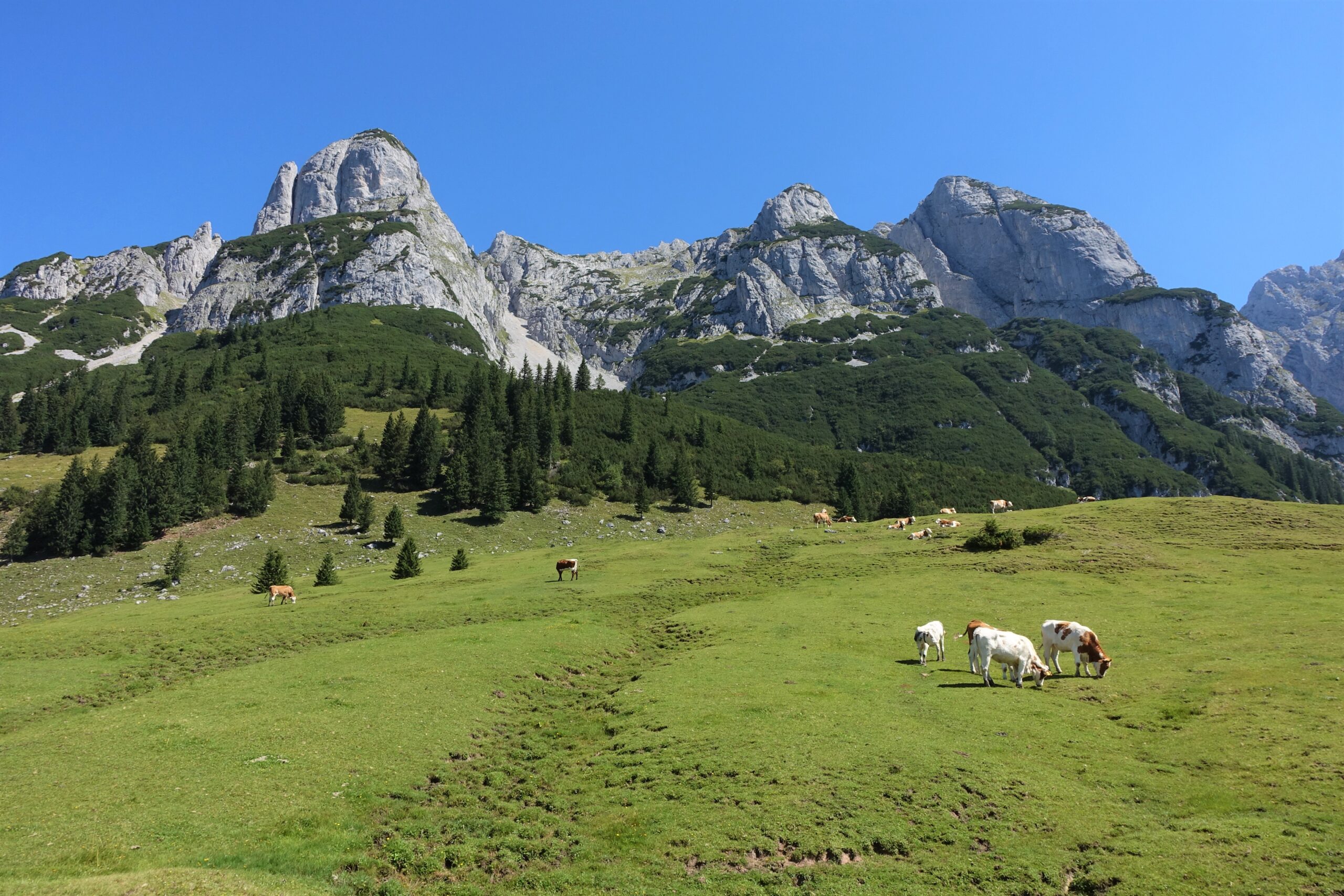 Foto Peter Backé