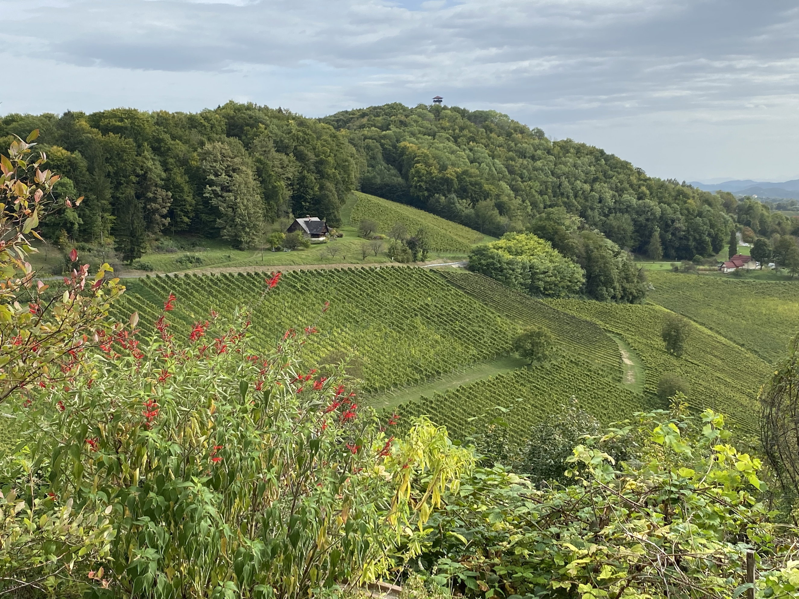 Von Spielfeld-Straße nach Sentilj in Slowenien. Foto Peter Backé