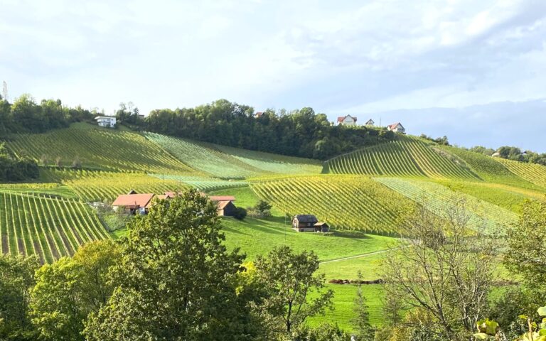 Wandern fürs Klima. Foto Peter Backé