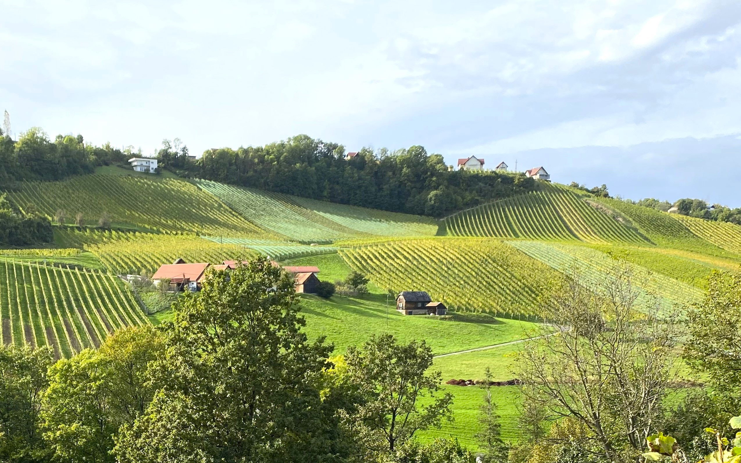 Wandern fürs Klima. Foto Peter Backé