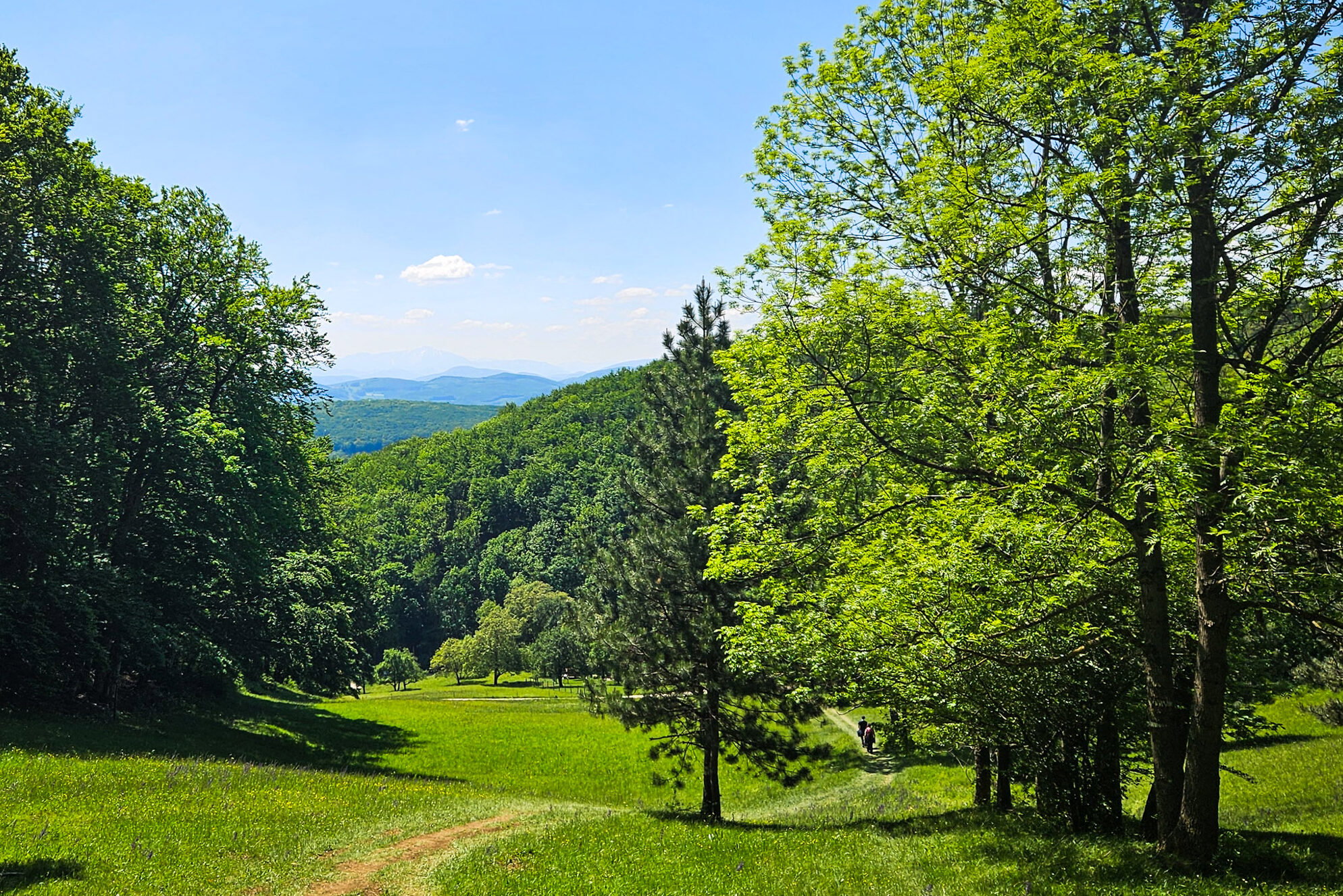 Weg nach Heiligenkreuz Foto DT