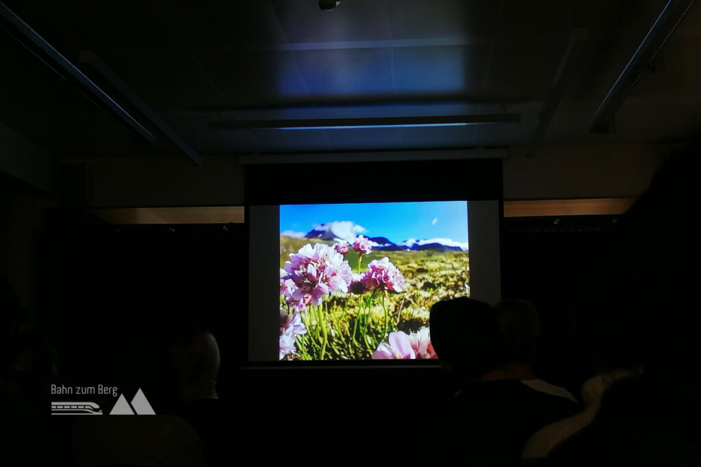 Wunderbare Eindrücke von dieser besonderen Insel. Foto: Sarah Pallauf