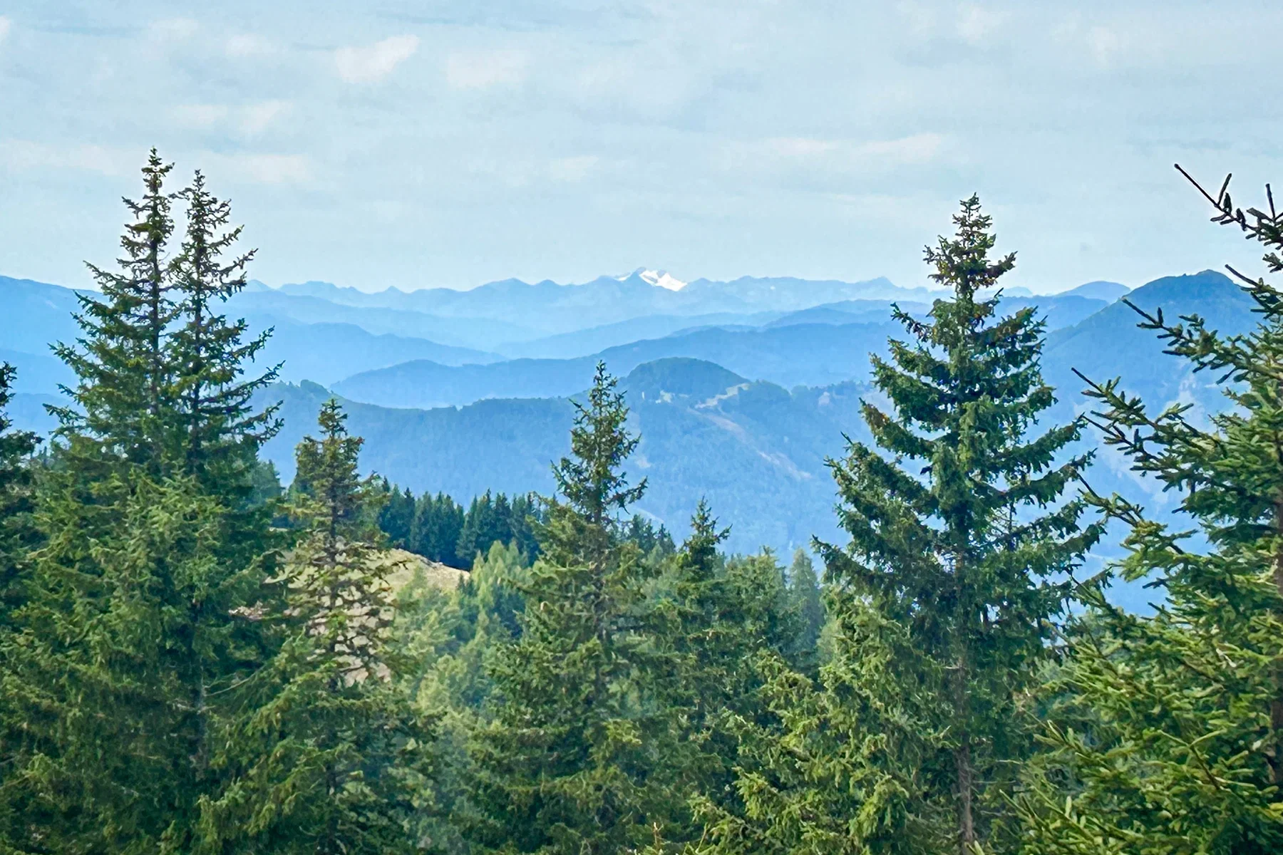 Weißeck Gipfelblick. Foto Veronika Schöll