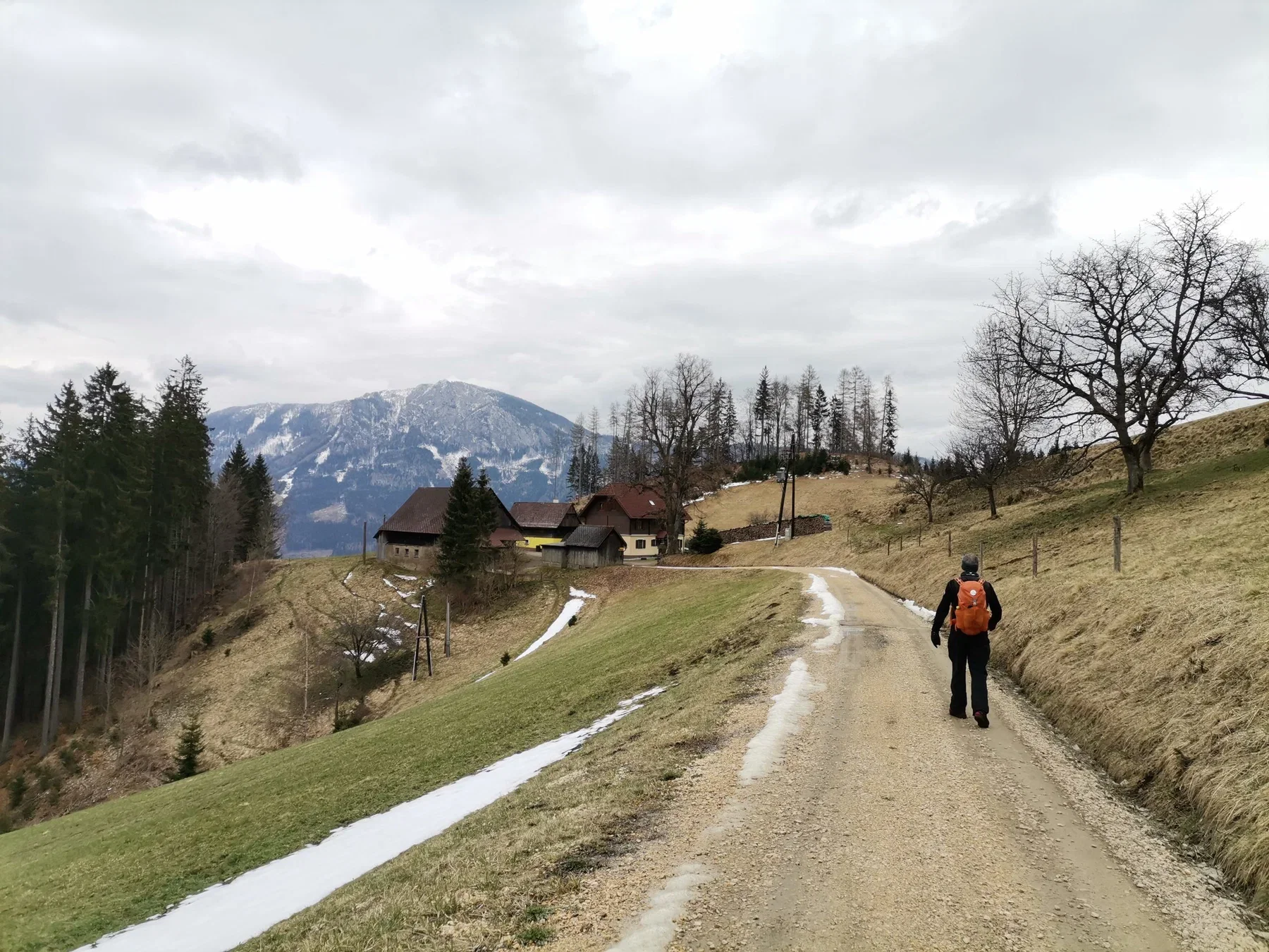 Am Weg zum Eggersattel. Foto Veronika Schöll