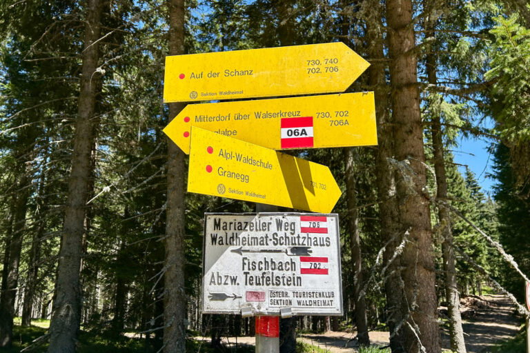 Wandern in der Waldheimat. Foto Veronika Schöll