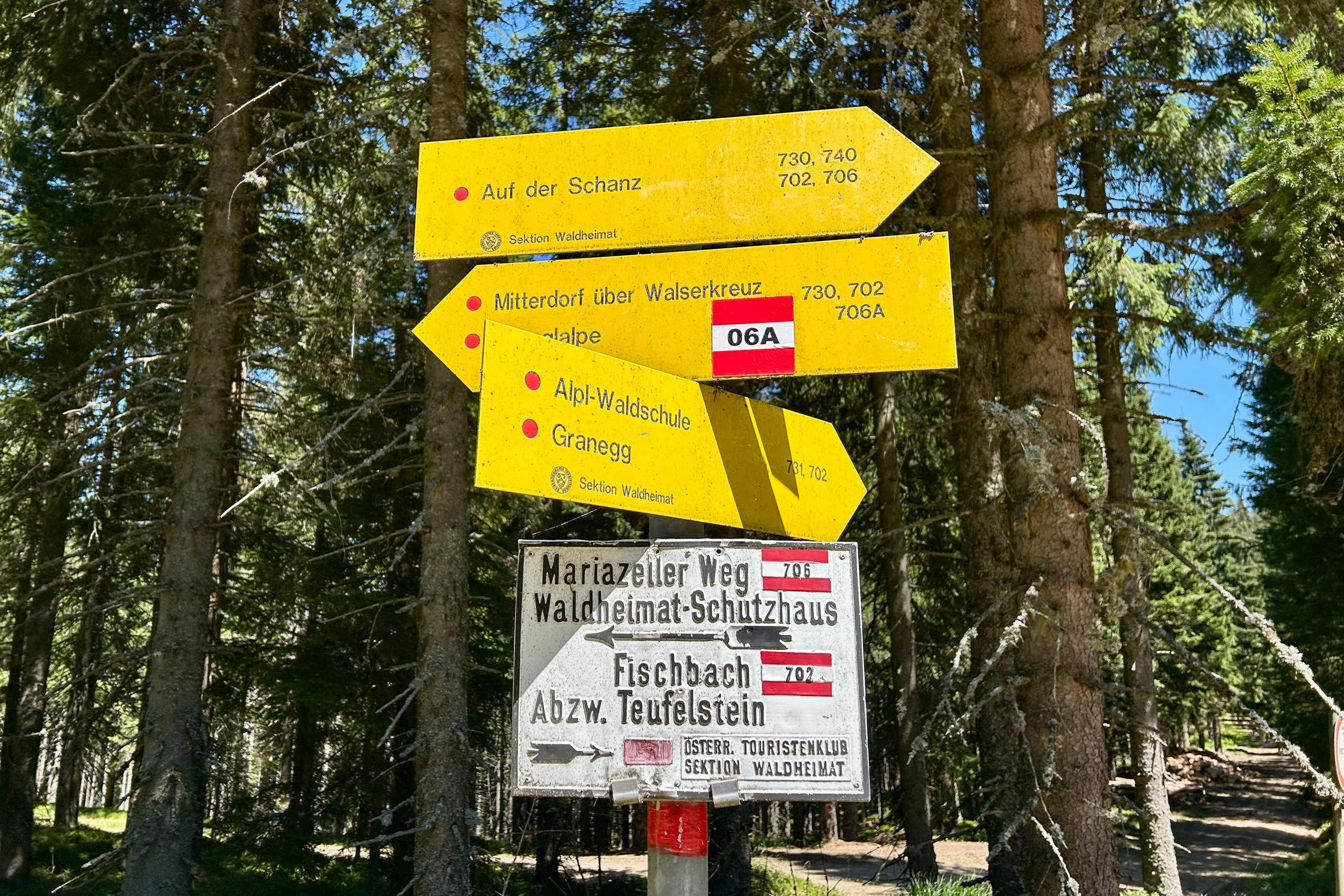 Mit der Linie 186 in die Waldheimat: Sieben Tipps für einen entspannten Wanderherbst